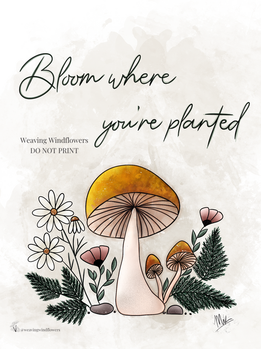 BLOOM WHERE YOU'RE PLANTED ART PRINT